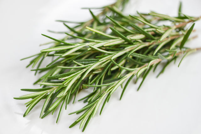A close-up image of fresh rosemary leaves, showing their needle-like green foliage with a textured surface, set against a clean white background.