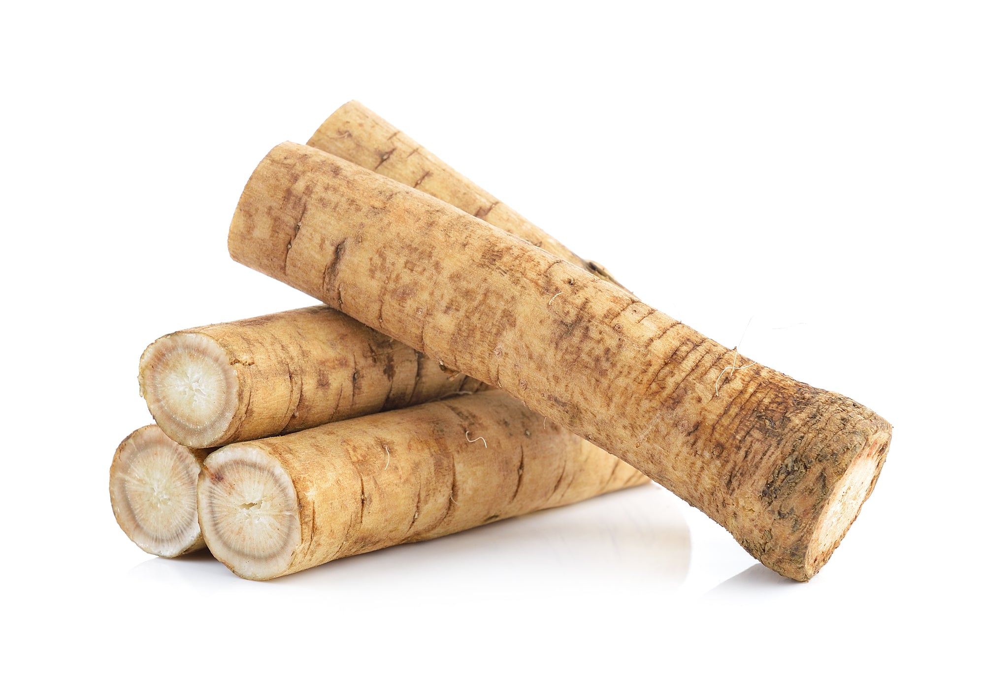 BURDOCK ROOT